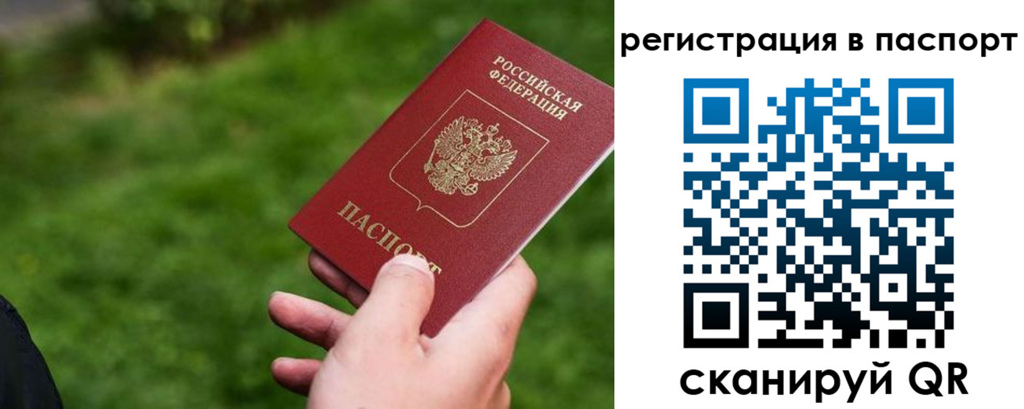 прописка штамп в Элисте